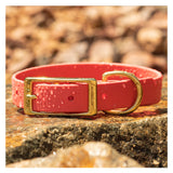 BioThane® Waterproof Buckle Dog Collar - Coral