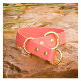 BioThane® Waterproof Slip Collar - Coral