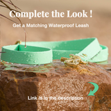 BioThane® Waterproof Buckle Dog Collar - Seafoam