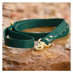 BioThane® Waterproof Dog Leash - Emerald