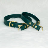 BioThane® Waterproof Slip Collar - Emerald