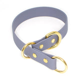 BioThane® Waterproof Slip Collar - Stone Grey