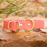 BioThane® Waterproof Slip Collar - Coral