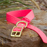 BioThane® Waterproof Buckle Dog Collar - Bubblegum Pink