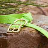 BioThane® Waterproof Buckle Dog Collar - Lime