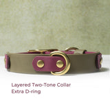 BioThane® Layered Two Tone Buckle Collar - 3/4" & 1"
