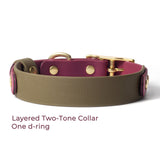 BioThane® Layered Two Tone Buckle Collar - 3/4" & 1"