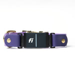 Fi 3 BioThane Collar in purple with gold quick release buckle
