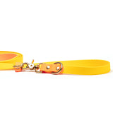 Biothane Waterproof Hands Free Leash