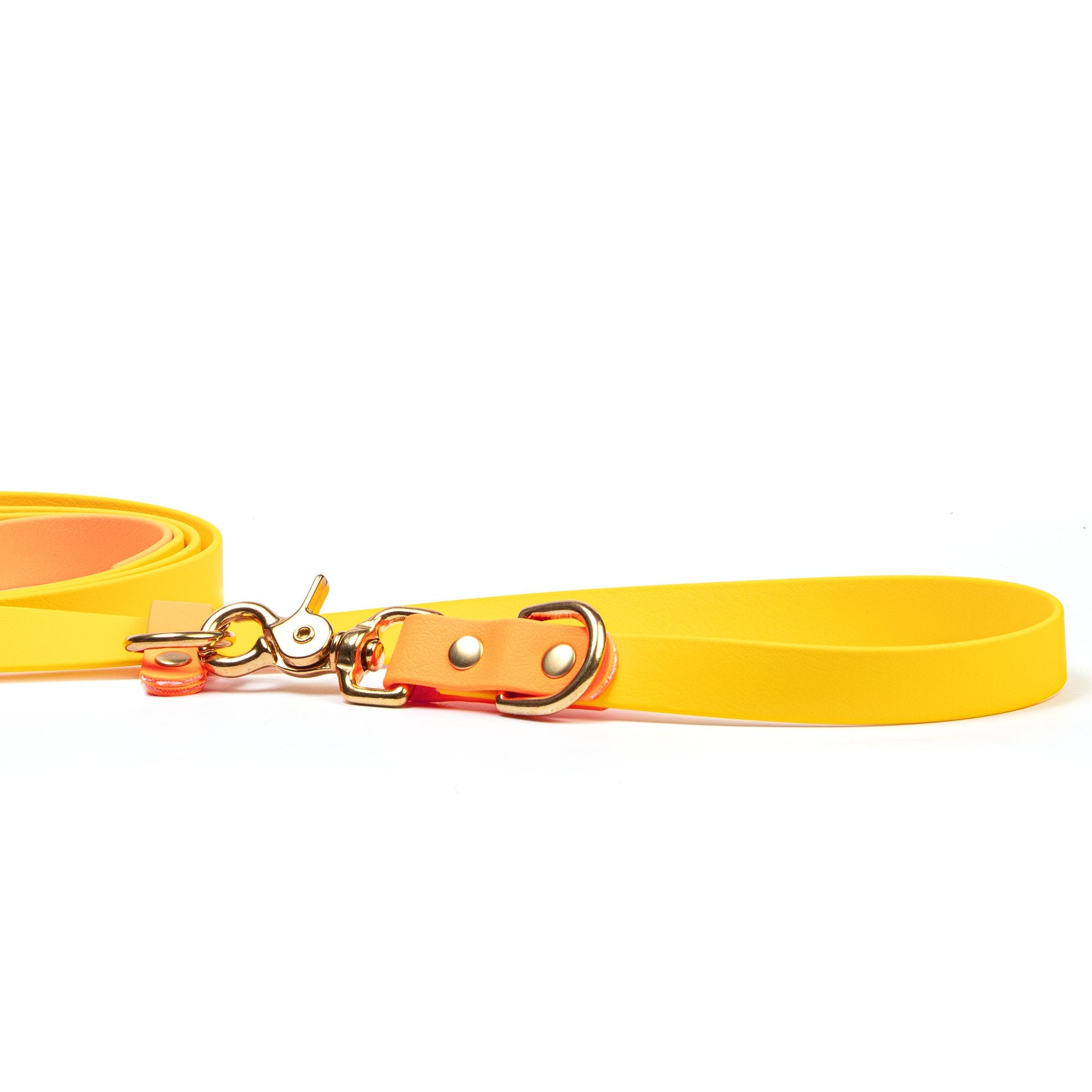 Biothane Waterproof Hands Free Leash