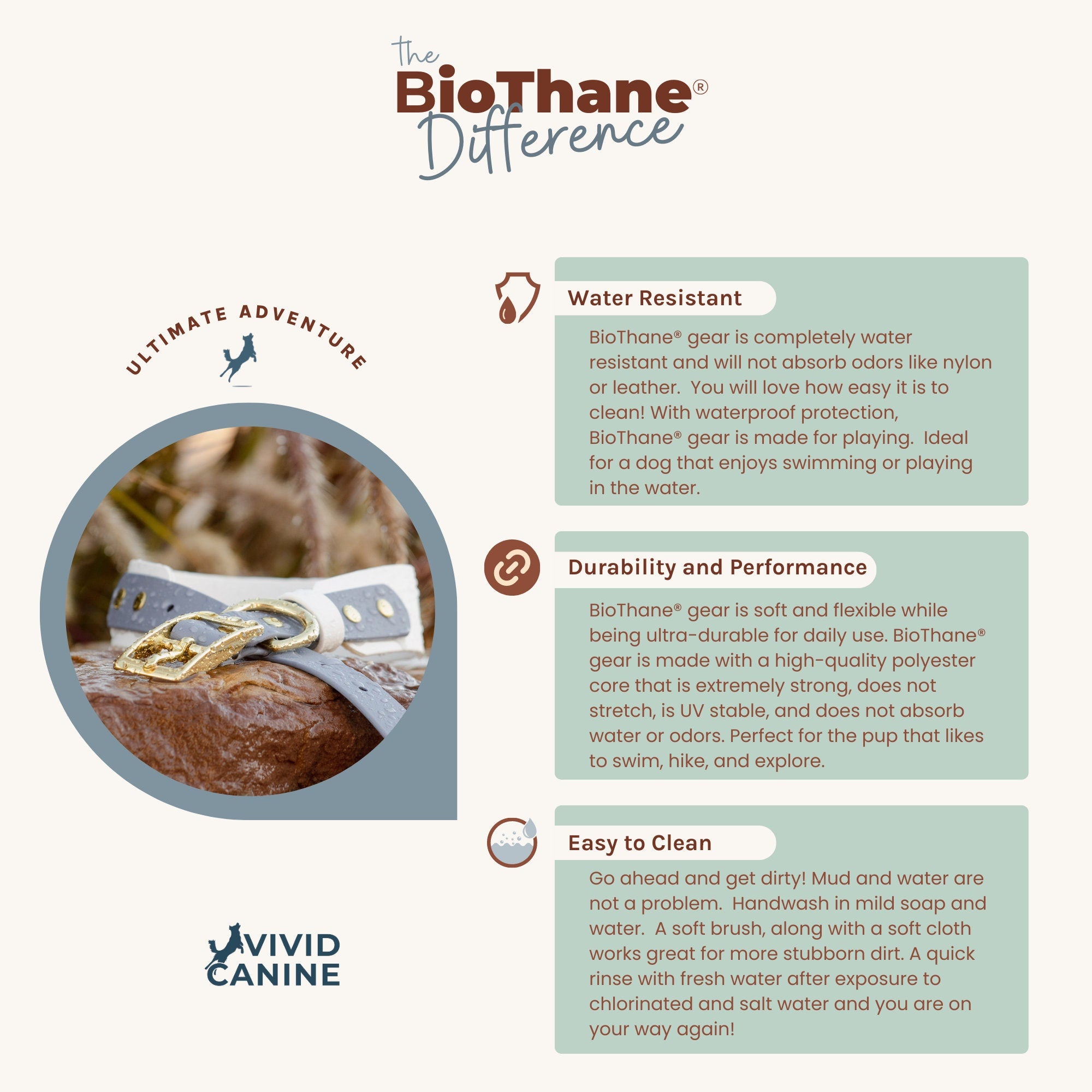 Biothane Waterproof Hands Free Leash