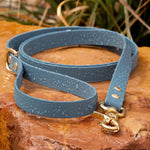 biothane waterproof dog leash in steel blue with brass hardware