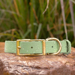 sage green biothane buckle collar with brass hardware