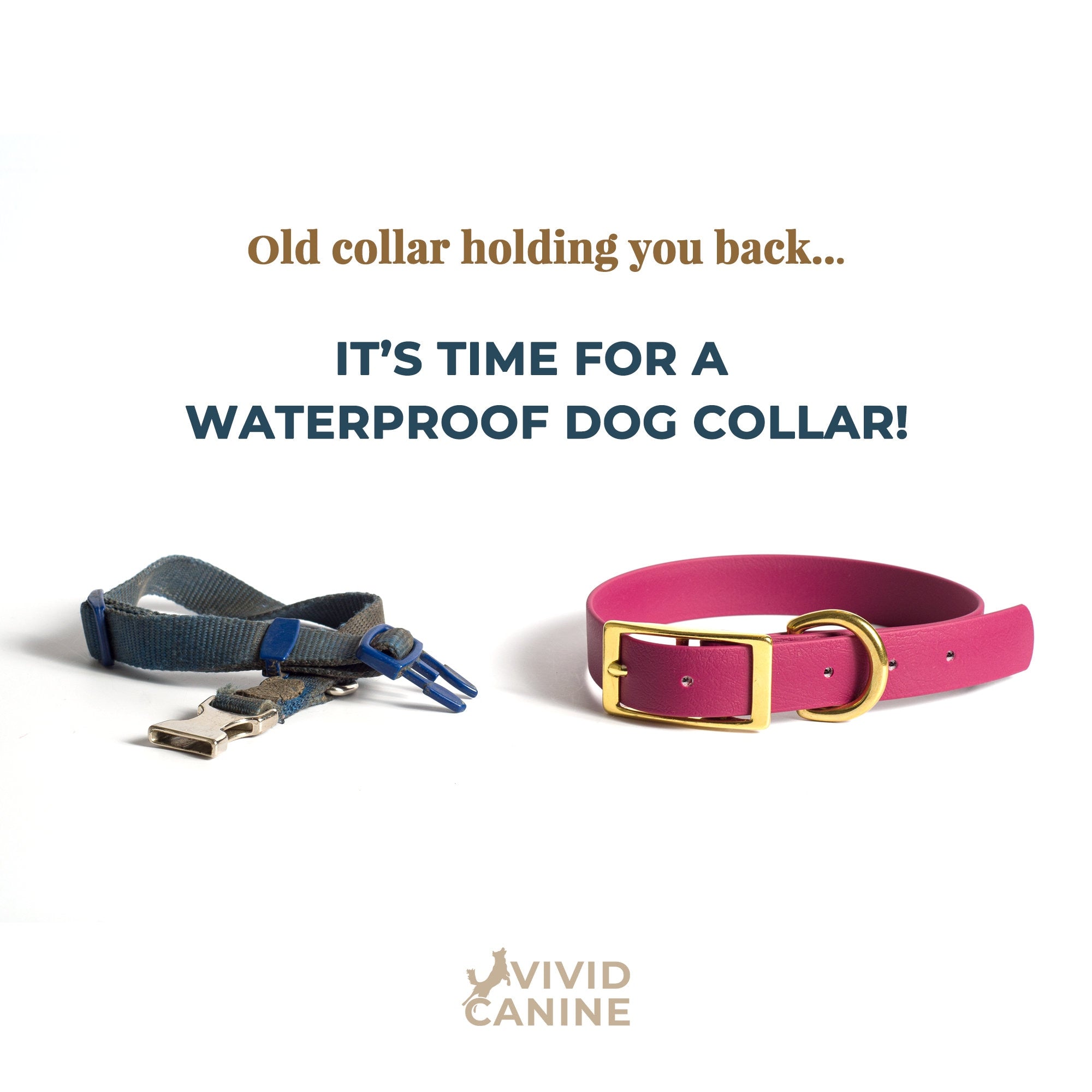 old dog collar and a new biothane dog collar
