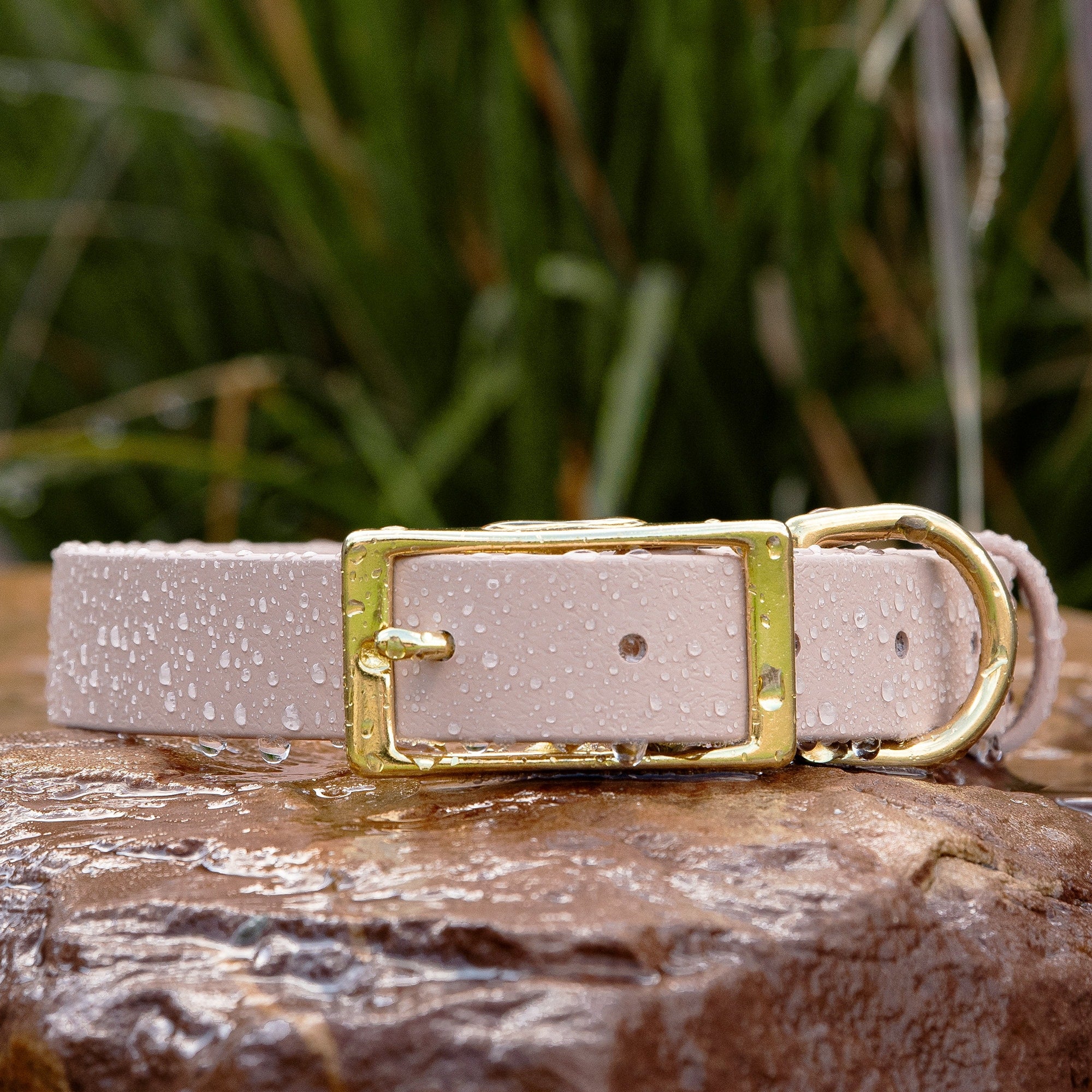 biothane buckle dog collar in powder tan with solid brass hardware