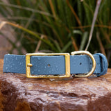 steel blue biothane buckle collar with solid brass hardware