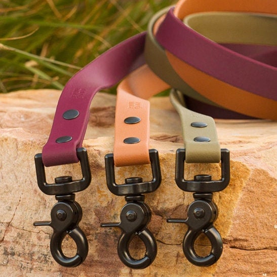 biothane leashes with matte black hardware