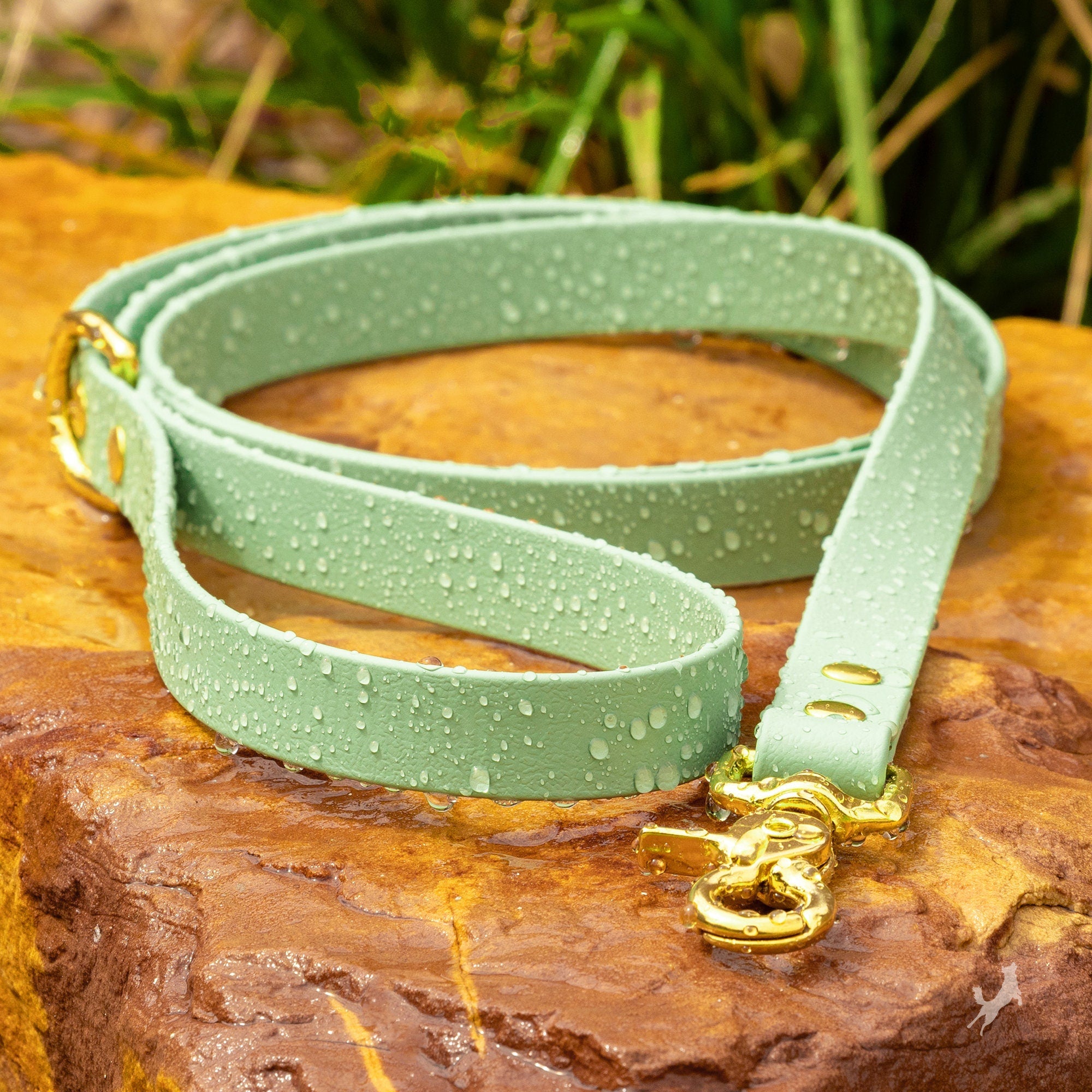biothane waterproof dog leash in sage green with brass hardware