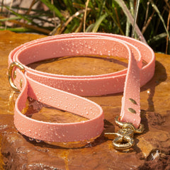 biothane waterproof dog leash in petal pink with brass hardware