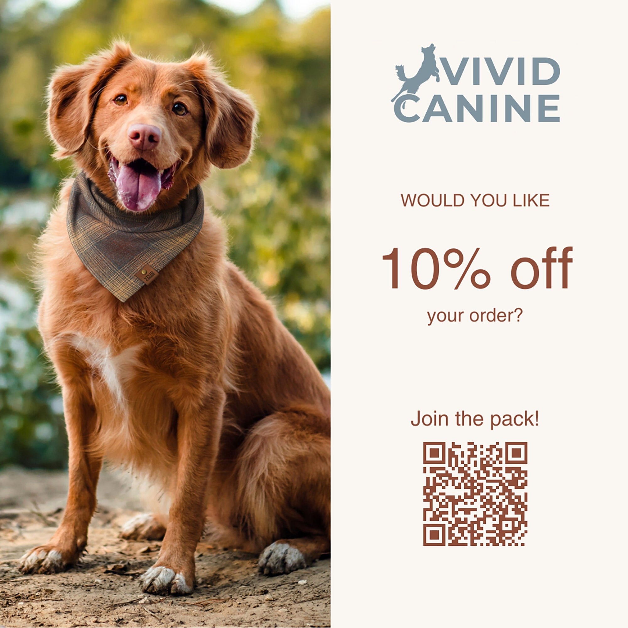 Dog Bandana - Candy Cane