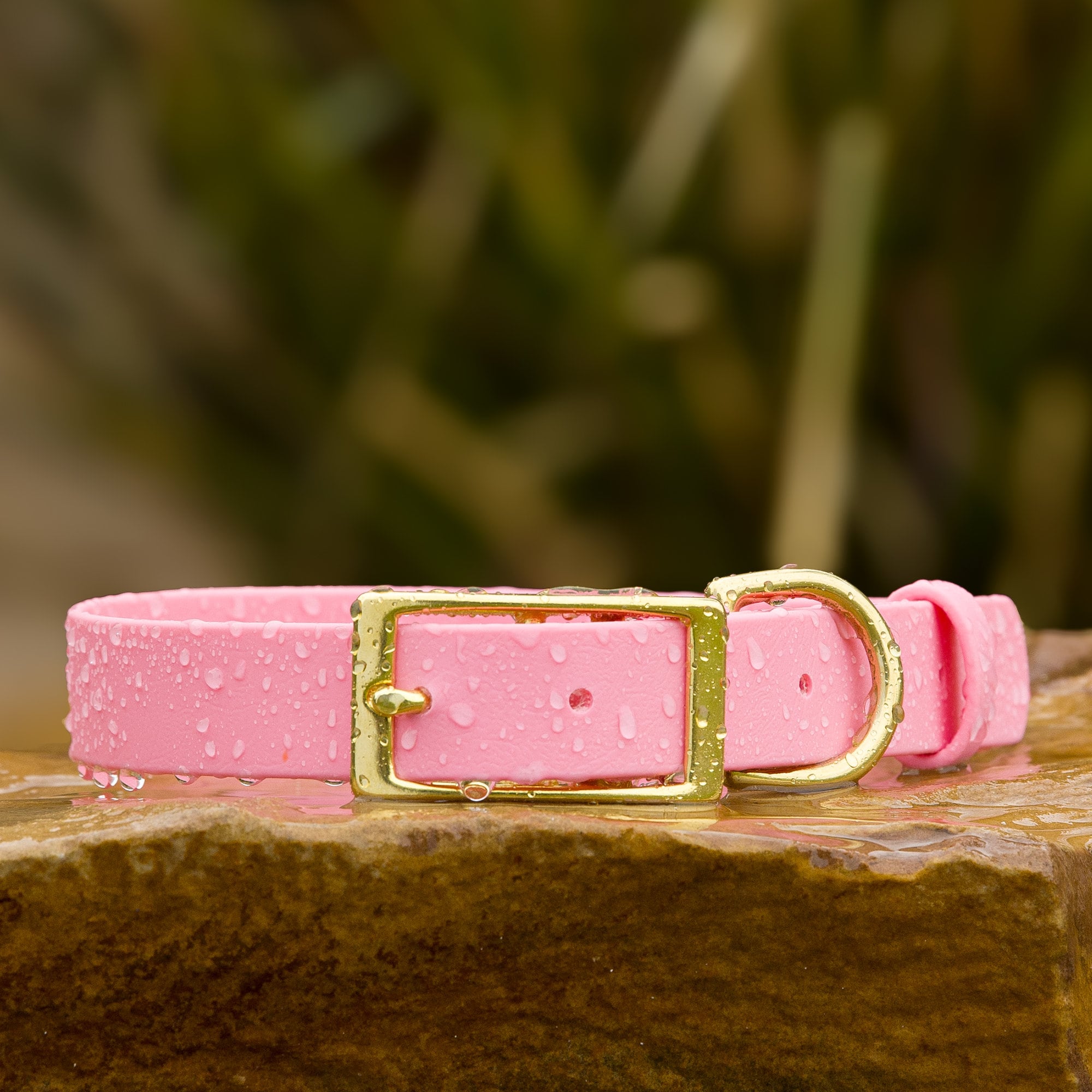 BioThane® Waterproof Buckle Dog Collar - Pastel Pink