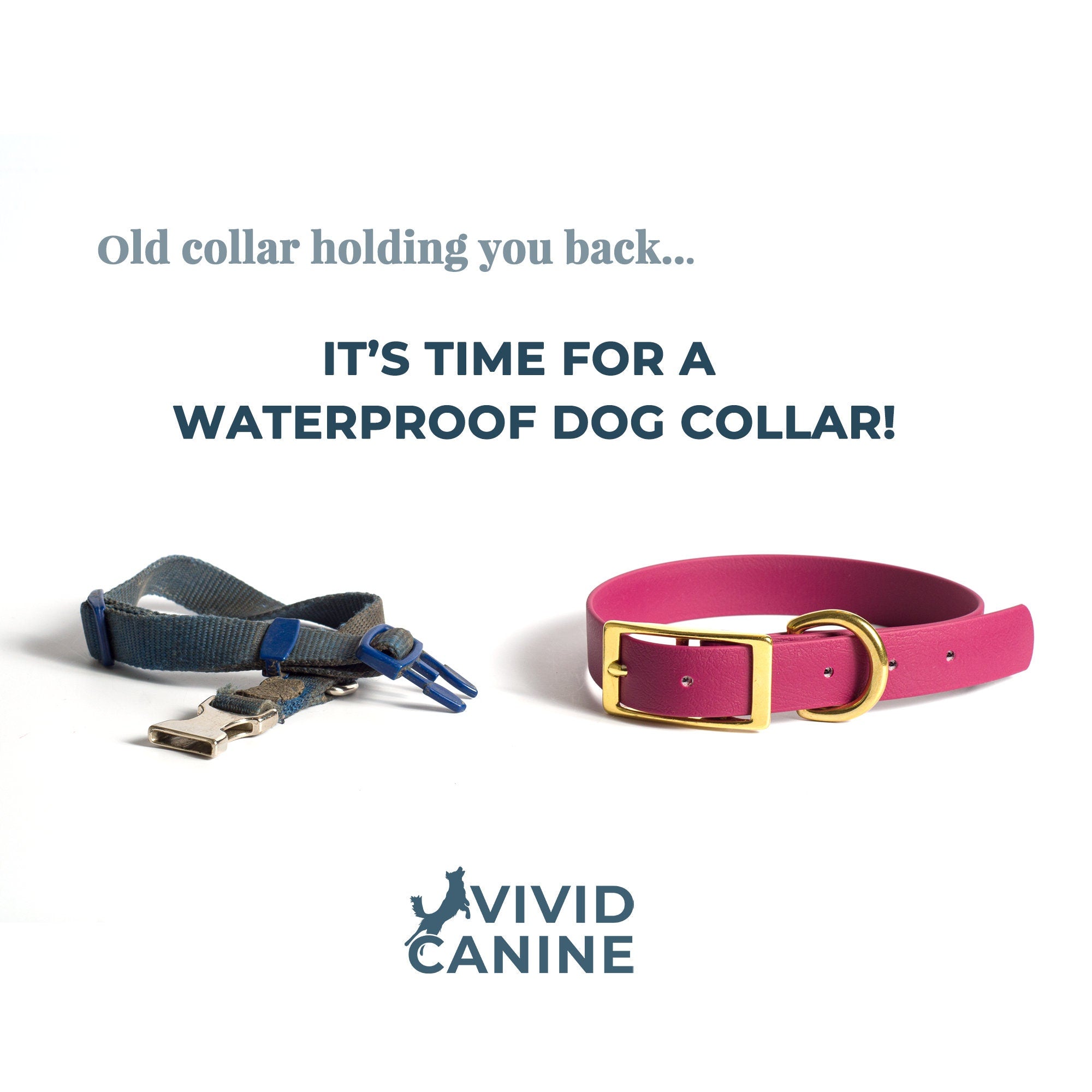 time for a waterproof dog collar infographic