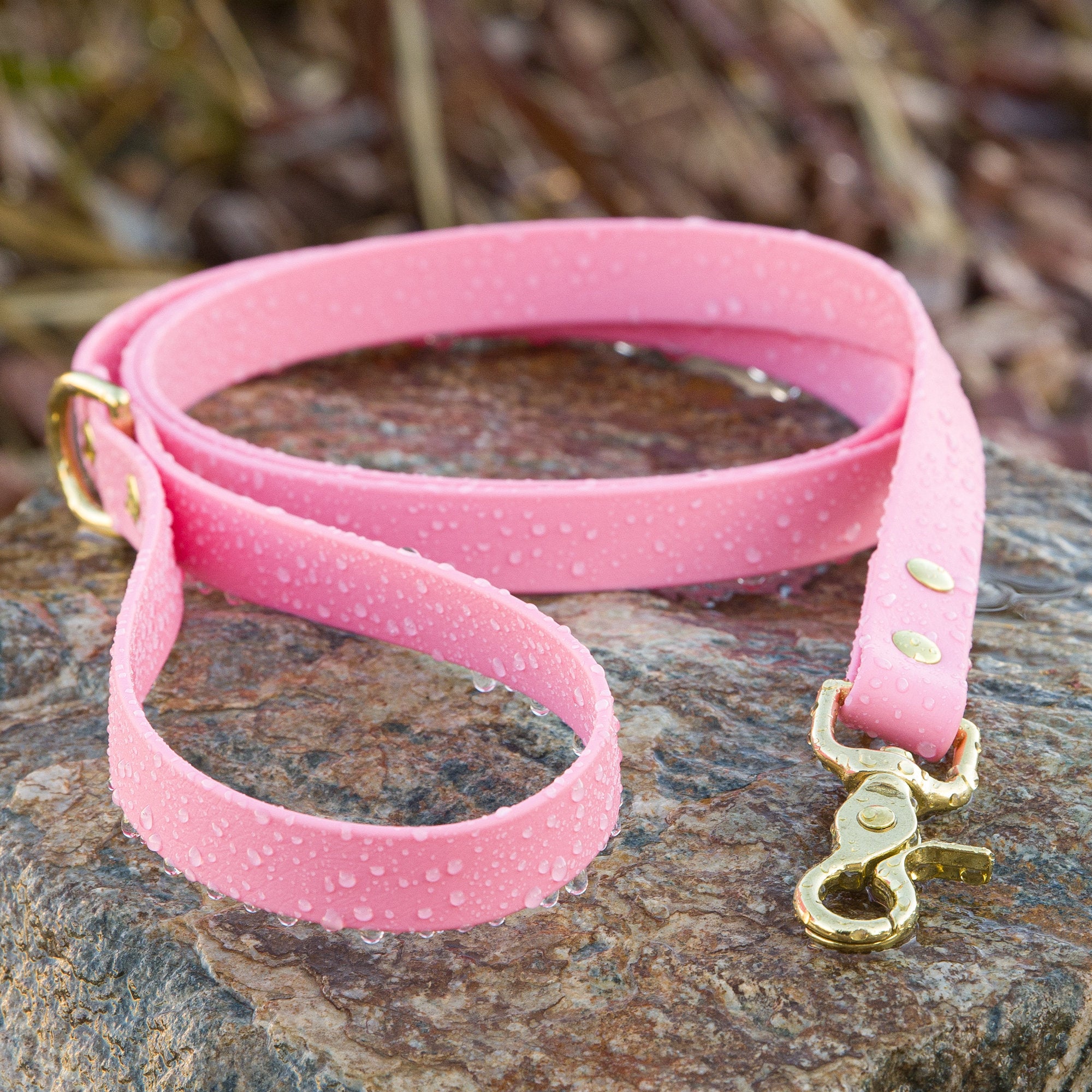 pastel pink biothane leash with brash hardware