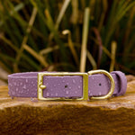 BioThane® Waterproof Buckle Dog Collar - Mauve