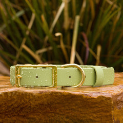 BioThane® Waterproof Buckle Dog Collar - Matcha