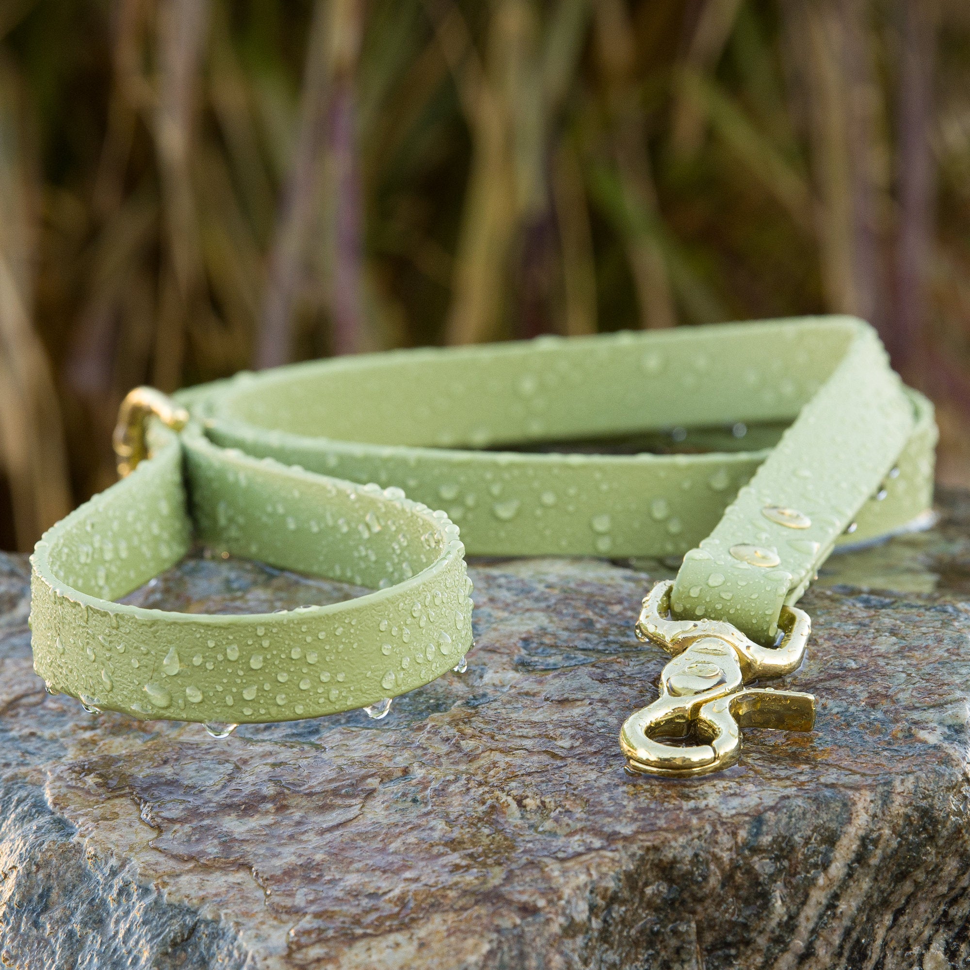 biothane leash in Matcha color with brass hardware