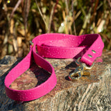 magenta biothane leash with brass hardware