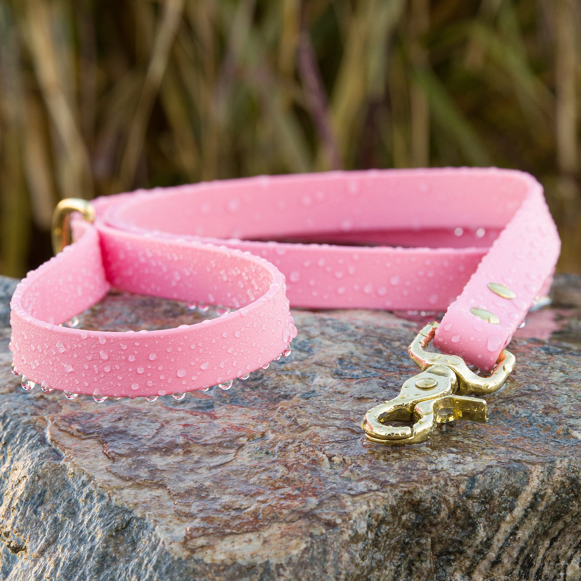 pastel pink biothane leash with brash hardware
