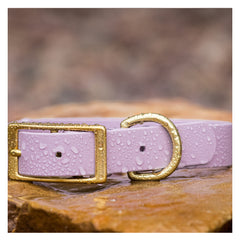 BioThane® Waterproof Buckle Dog Collar - Lilac