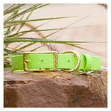 BioThane® Waterproof Buckle Dog Collar - Lime