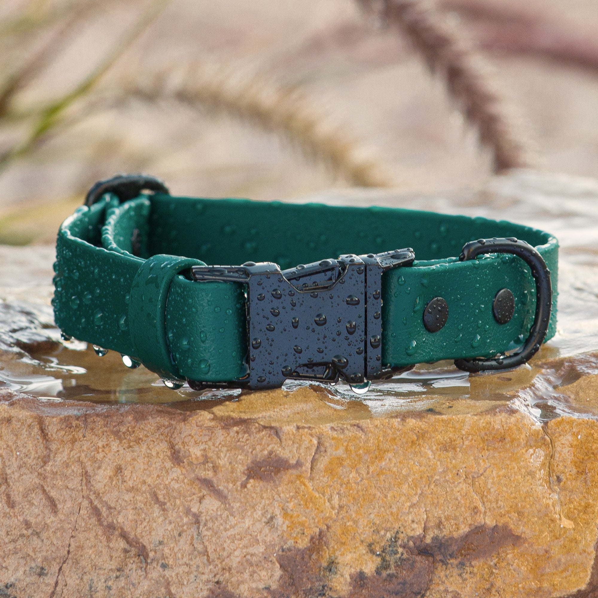 BioThane® Waterproof Quick Release Dog Collar - Emerald