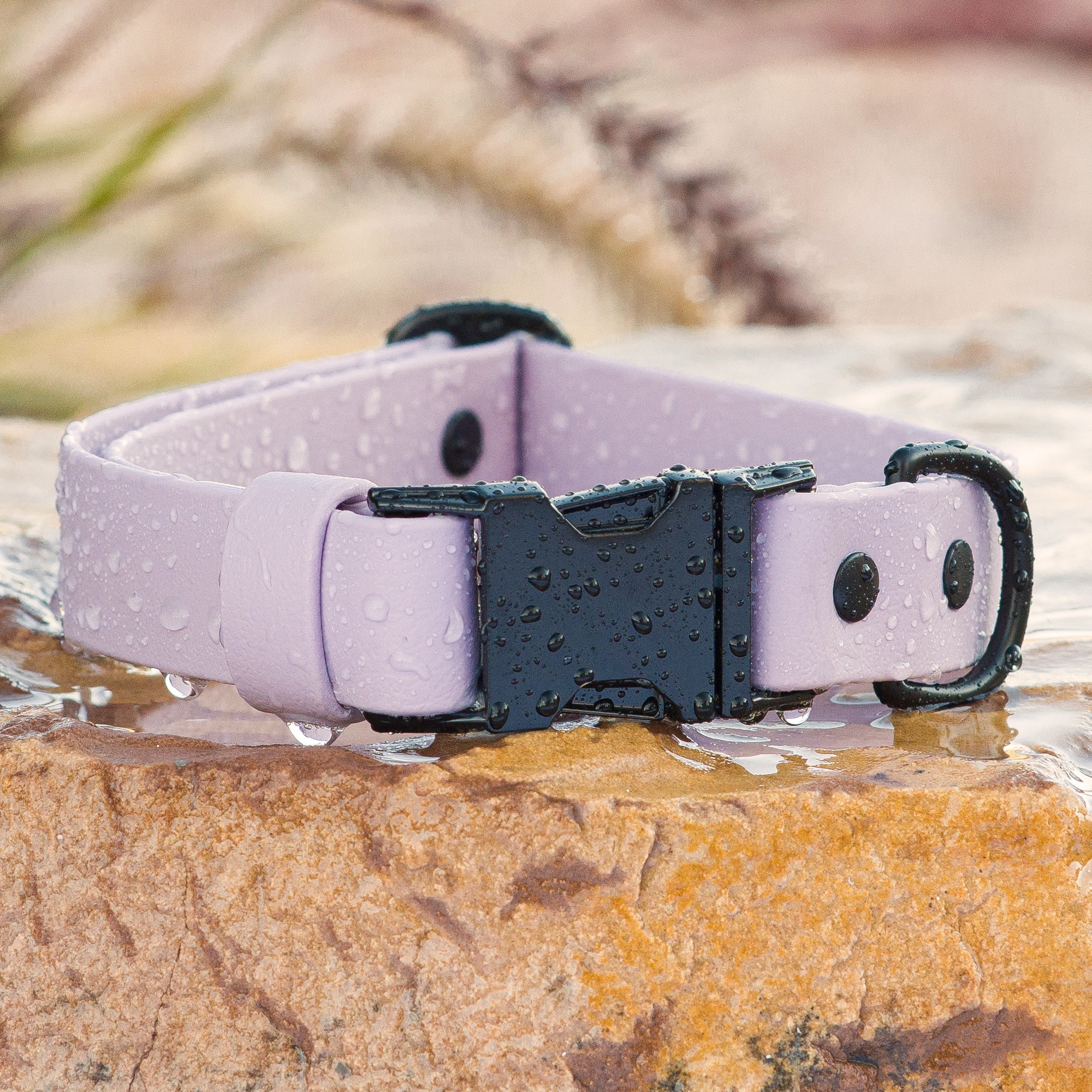 BioThane® Waterproof Quick Release Dog Collar - Lilac