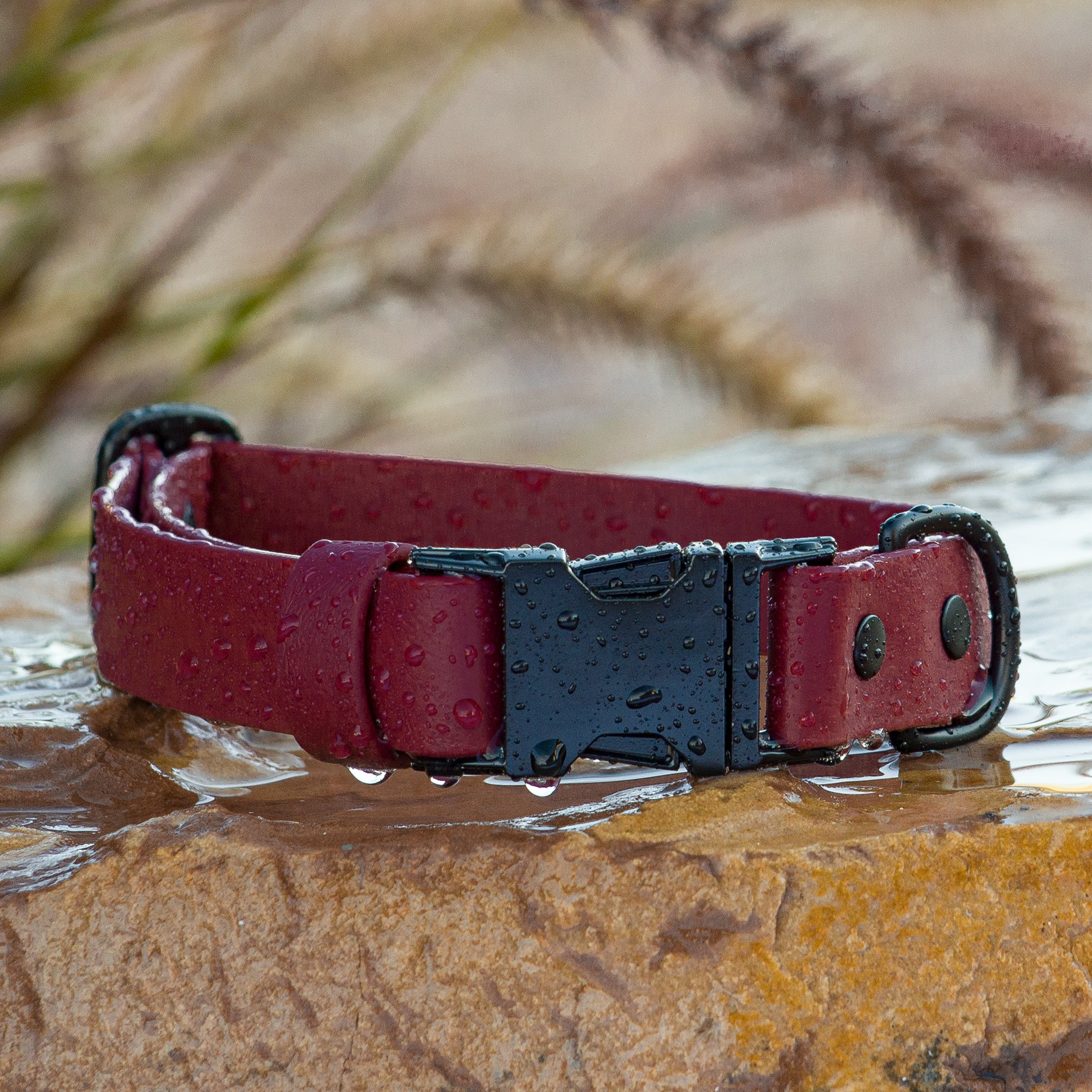 BioThane® Waterproof Quick Release Dog Collar - Wine