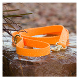 BioThane® Waterproof Dog Leash - Tangerine