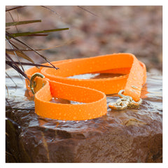 BioThane® Waterproof Dog Leash - Tangerine