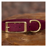 BioThane® Waterproof Buckle Dog Collar - Wine