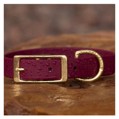 BioThane® Waterproof Buckle Dog Collar - Wine