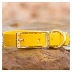 BioThane® Waterproof Buckle Dog Collar - Yellow